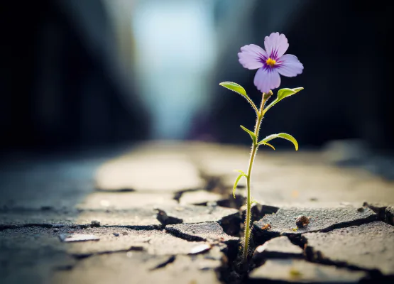 Illustration d'une fleur sur une route bordée de plantes
